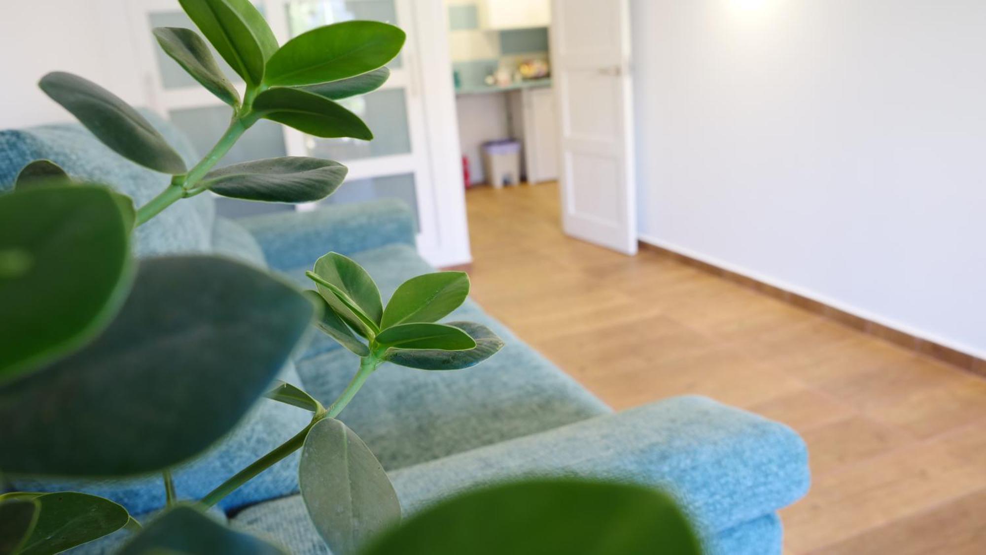Tuerkiz Kanaan Apartman 圣地亚哥港 外观 照片